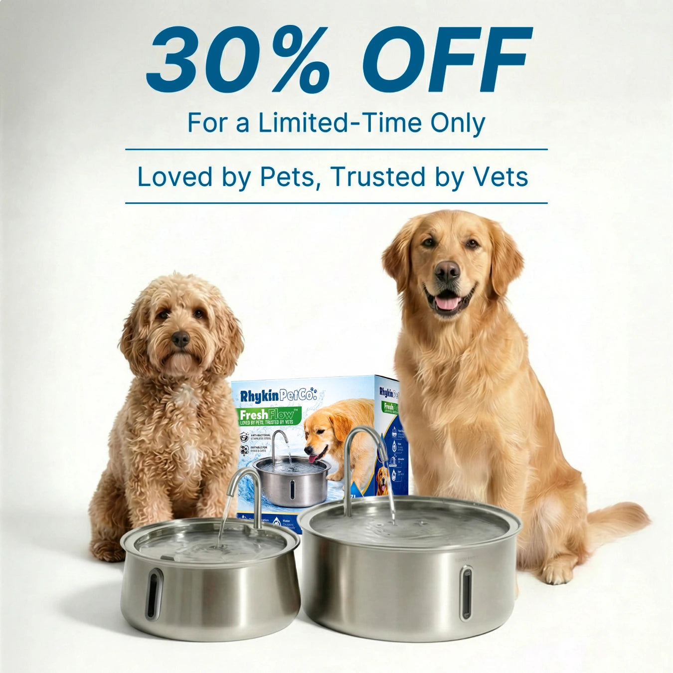 Dog Water Fountain