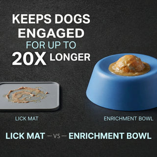 Enrichment Bowl