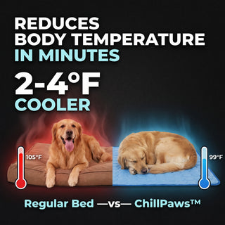 ChillPaws™ Cooling Mat