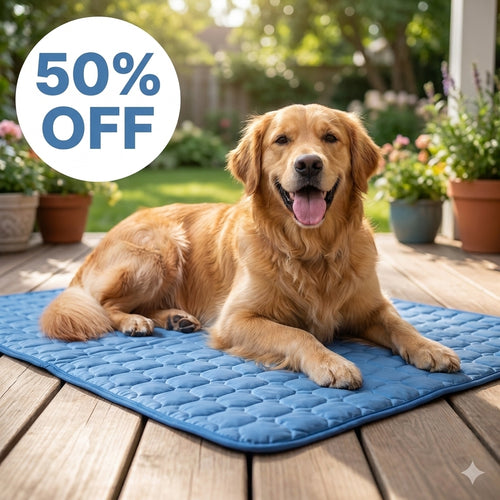 Dog Life Jacket With Chin Support