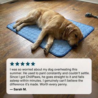 ChillPaws™ Cooling Mat