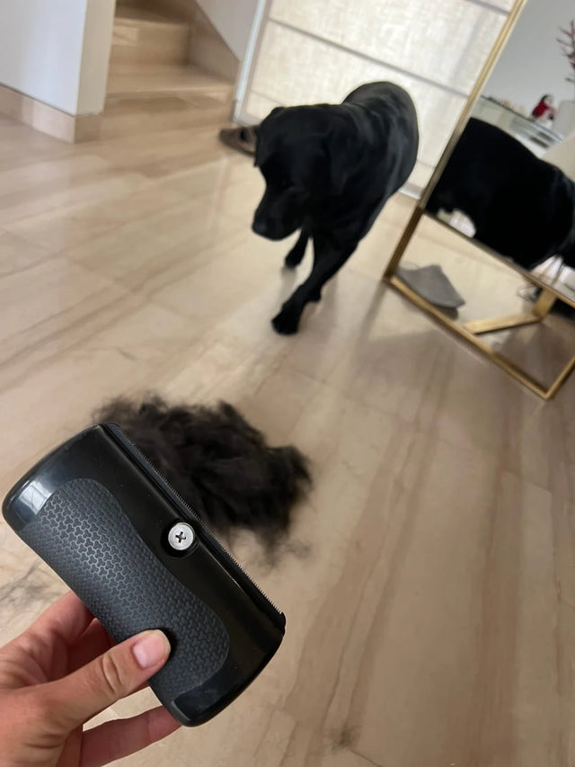 Less Shedding!