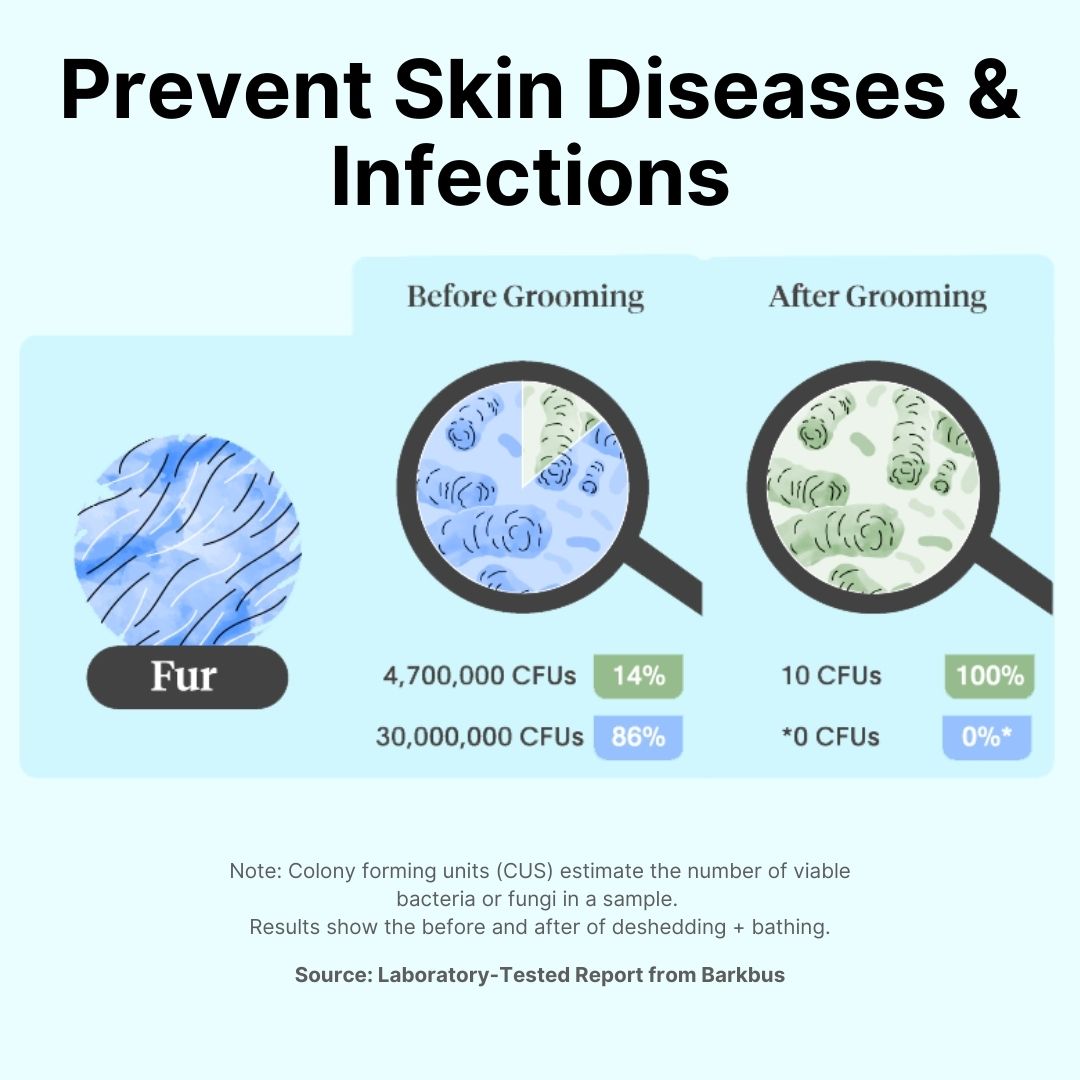 GroomPro™ 2.0 - The #1 Cat Shedding Solution