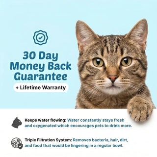 FreshFlow Cat Water Fountain
