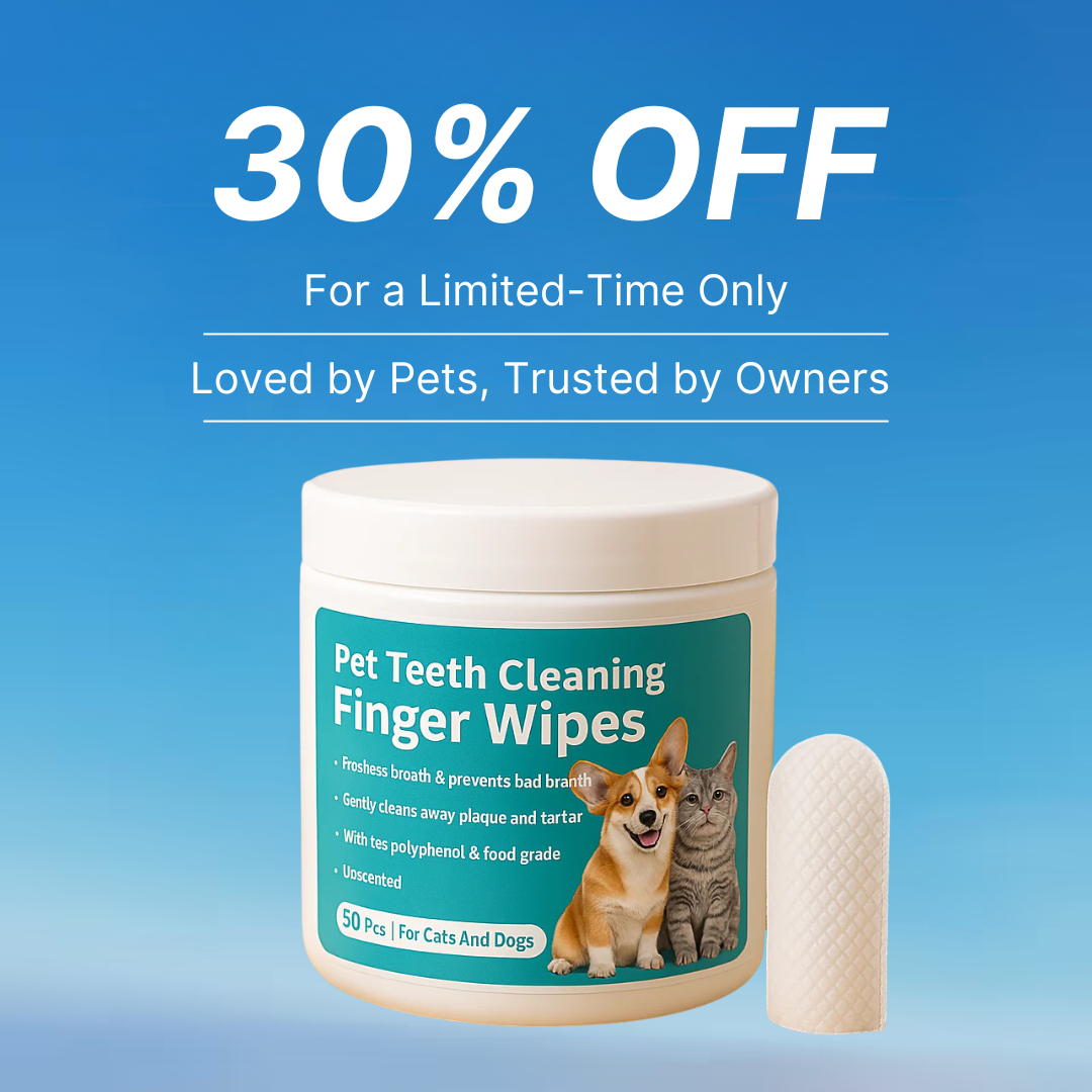 Rhykin Dental Wipes - The #1 Alternative to Brushing