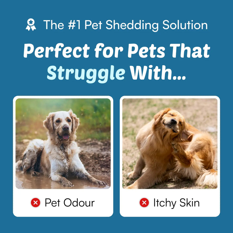 GroomPro™ 2.0 - Advanced Shedding Solution