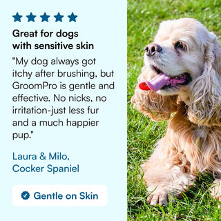 GroomPro™ 2.0 - Advanced Shedding Solution