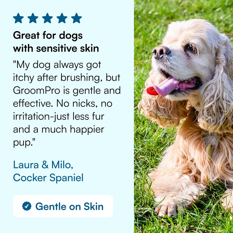 GroomPro™ 2.0 - Advanced Shedding Solution