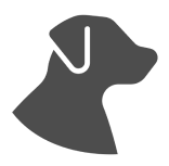 Caption Icon