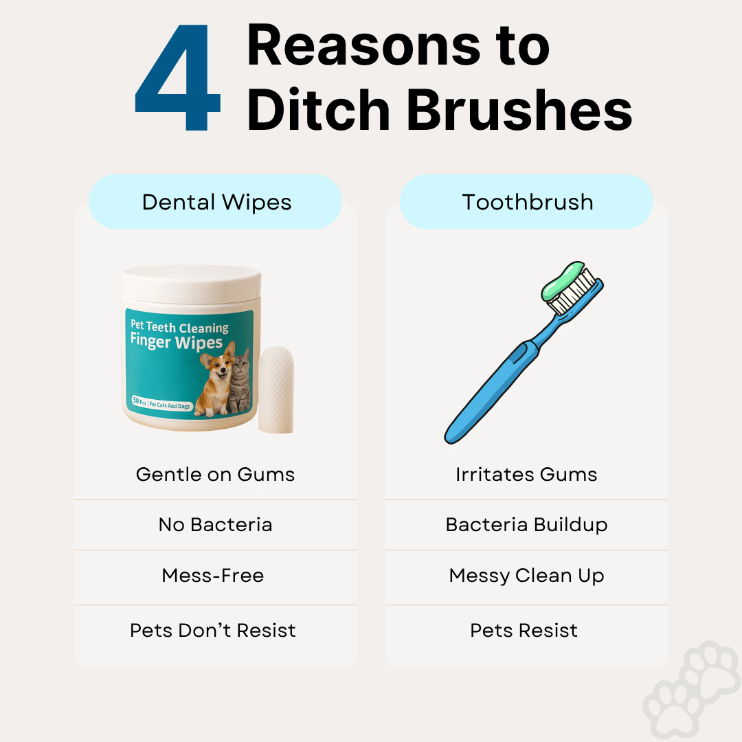 Rhykin Dental Wipes - The #1 Alternative to Brushing