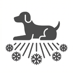 Caption Icon