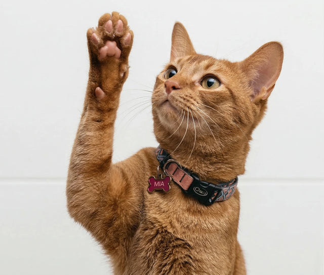 Prevents serious conditions