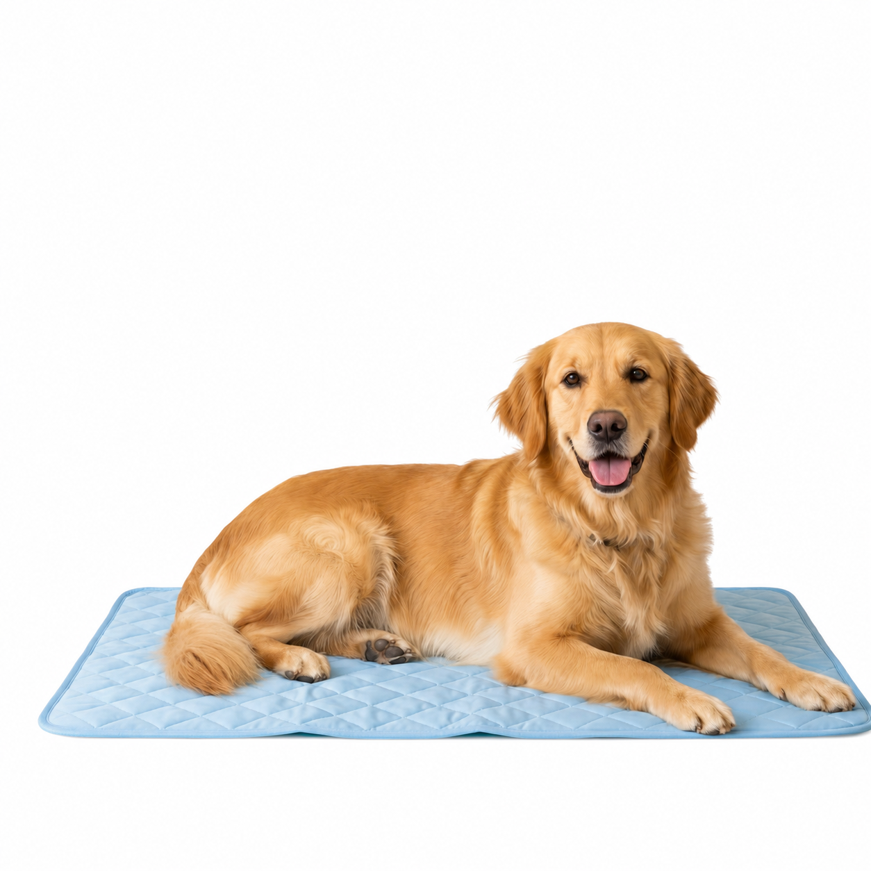 ChillPaws™ Cooling Mat